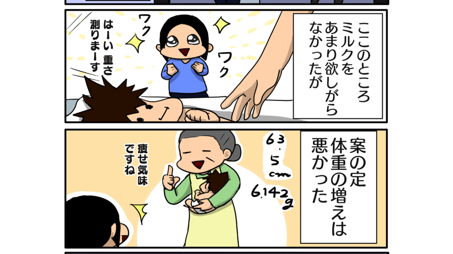 別に今からそんなに痩せてなくてもいいのよ 猫と子どもと夫と私